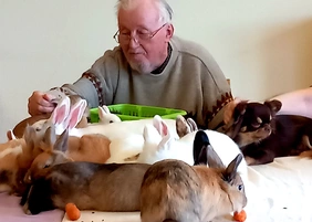 Die Kaninchen kennen und genießen das Kuscheln mit Pflegeheimbewohnern