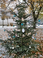 Die Wunschbaum-Aktion im avendi-Pflegeheim PALAIS BOSE in Dessau-Roßlau kam sehr gut an. 