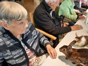 Mit dem Kaninchen auf Du und Du: Tierischer Besuch im Pflegeheim: Im LanzCarré machte der mobile Streichelzoo Station.
