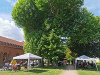 Alljährlich zur Tradition ist mittlerweile unser beliebtes Grillfest in unserem anliegenden Park in der avendi-Einrichtung PALAIS BOSE in Dessau-Roßlau geworden. 