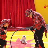 Zwei Kinder sind als Clowns verkleidet und versuchen, einen Plüschtiger durch einen Reifen springen zu lassen