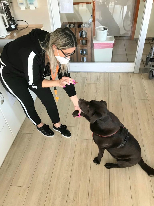 Im Pflegeheim HAUS BURGBLICK übt Therapiehund Charlie für die Prüfung