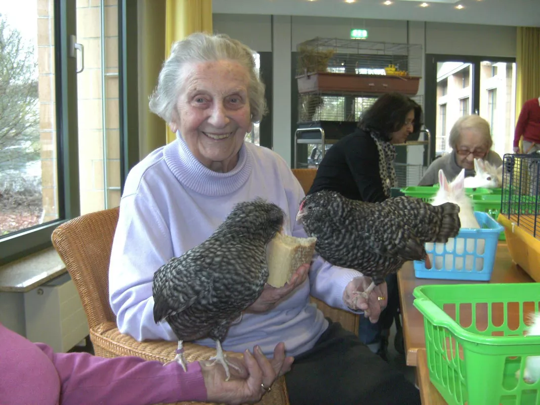 Ältere Dame füttert Hühner mit Brot, die auf ihren Armen sitzen