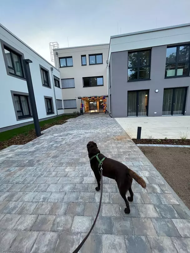 Los geht's: Für Therapiehund Charly startete der erste Arbeitstag im neuen Pflegeheim Pflege AM STEINSBERG in Sinsheim-Weiler. 