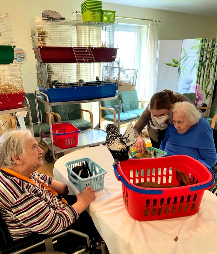 Der mobile Streichelzoo bringt Tiere mit ins avendi-Pflegeheim in Sinsheim