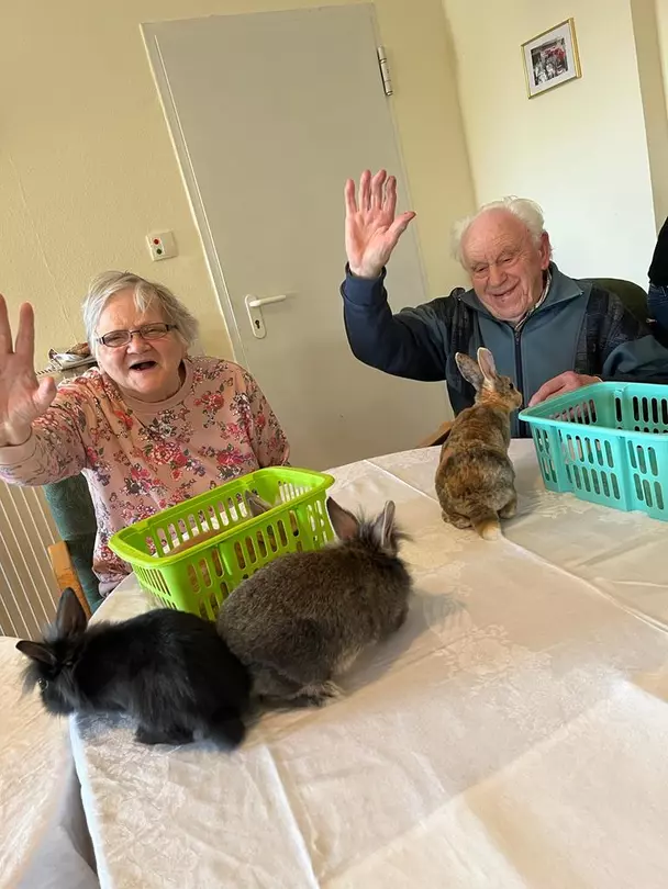 Bewohner im Sinsheimer avendi-Pflegeheim HAUS BURGBLICK streicheln Kaninchen