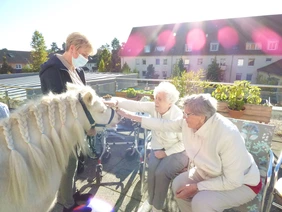 Zwei Bewohnerinnen streicheln Pony Kalle, der von seiner Besitzerin gehalten wird.