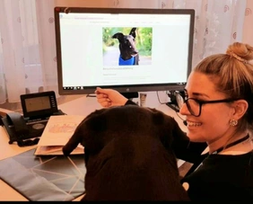 Die Therapiehundeprüfung wird online vorbereitet