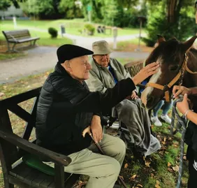 Ponystute Luna besuchte die Bewohnerinnen und Bewohner im Park der avendi-Pflegeeinrichtung PALAIS BOSE in Dessau-Roßlau.
