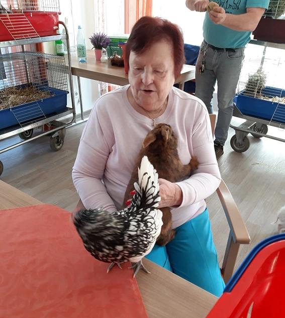 Auch Hühner brachte der Streichelzoo mit ins avendi-Pflegeheim Bad Dürkheim