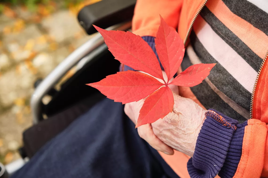 Bewohnerin hält ein rotgefärbtes Blatt in der Hand, das vom Baum geweht wurde
