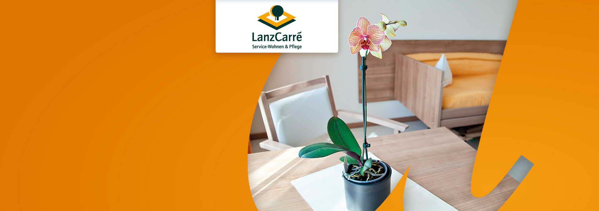 Service-Wohnen und Pflege LanzCarré Pflegezimmer, eine Pflanze steht auf einer kleinen Decke auf einem Holztisch